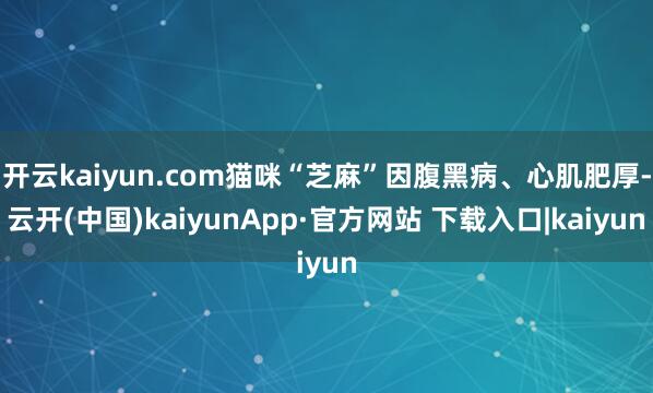 开云kaiyun.com猫咪“芝麻”因腹黑病、心肌肥厚-云开(中国)kaiyunApp·官方网站 下载入口|kaiyun