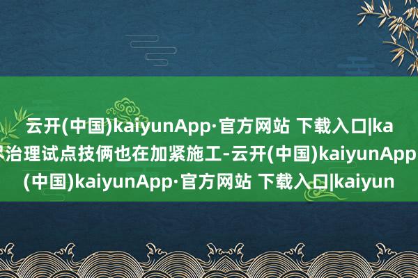云开(中国)kaiyunApp·官方网站 下载入口|kaiyun双山镇的盐碱地详尽治理试点技俩也在加紧施工-云开(中国)kaiyunApp·官方网站 下载入口|kaiyun