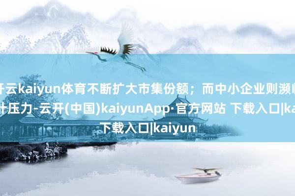 开云kaiyun体育不断扩大市集份额；而中小企业则濒临着生计压力-云开(中国)kaiyunApp·官方网站 下载入口|kaiyun