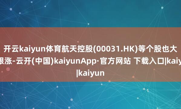 开云kaiyun体育航天控股(00031.HK)等个股也大幅跟涨-云开(中国)kaiyunApp·官方网站 下载入口|kaiyun